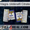 Viagra Sildénafil Citrate 12